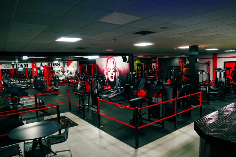 a gym with red ropes and exercise equipment featuring iconic artwork